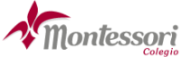 MONTESSORI ONLINE